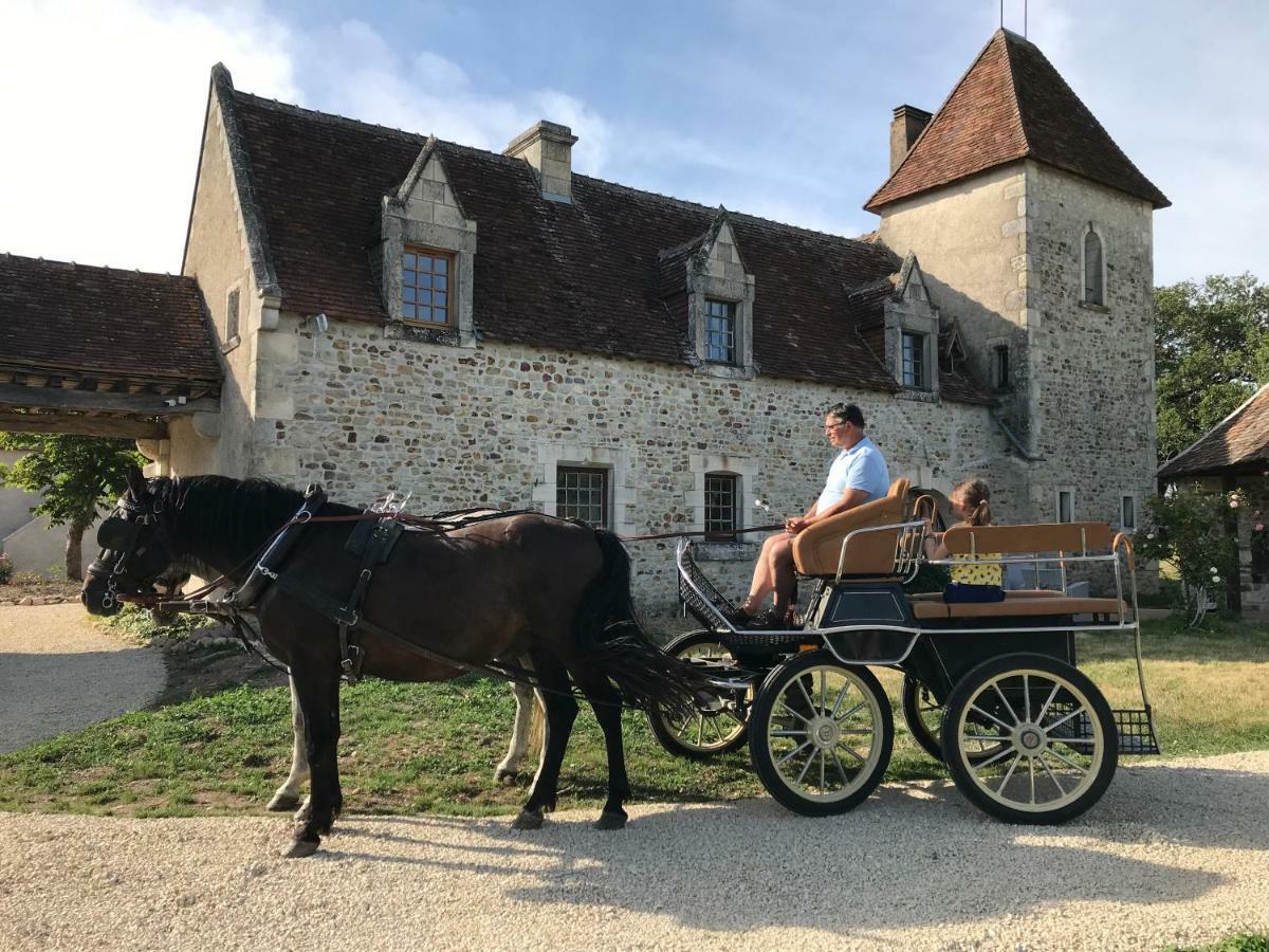 The Originals Le Manoir De Pierre Levée 4* Tournon-Saint-Martin